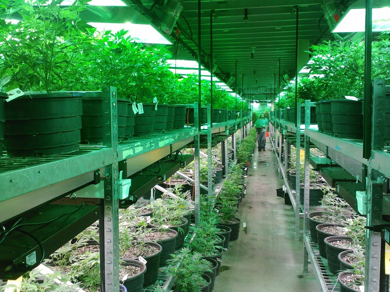Santa Clara County Looking At Eliminating Medical Marijuana ID Fee 