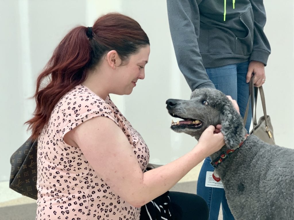 Selma Unified uses therapy dog named Jeter