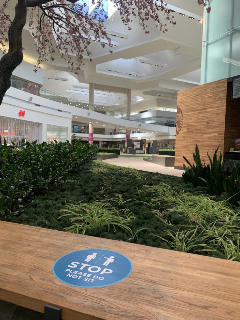 Flagship Apple Store coming to San Jose's Westfield Valley Fair