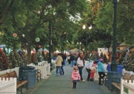People stand on a walkway between Christmas trees during a holiday event in San Jose