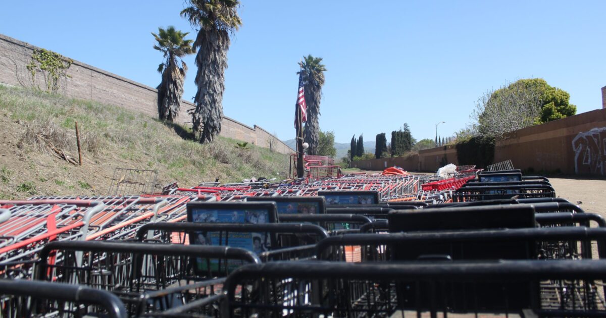 San Jose shopping cart crackdown could be costly - San Jose Spotlight