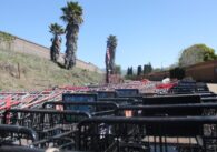 A cluster of shopping carts in San Jose, California