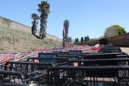 A cluster of shopping carts in San Jose, California