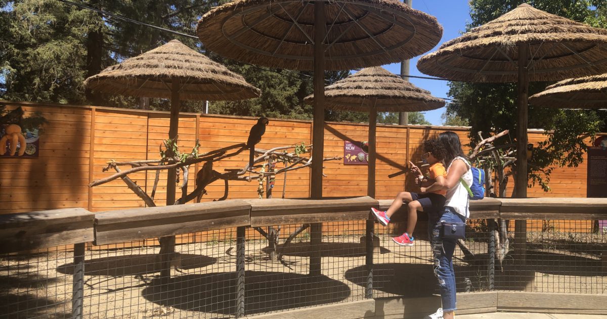 San Jose's Happy Hollow hangs on during the pandemic - Vimarsana News