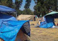 Homeless tents in a field