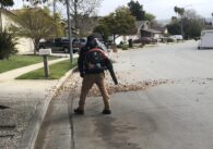 A person uses a leaf blower to move leaves on a street