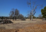 Part of a former golf course in East San Jose
