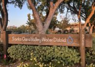 A sign surrounded by a bush, with a tree behind it