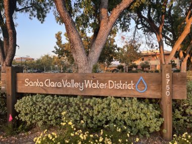 A sign surrounded by a bush, with a tree behind it