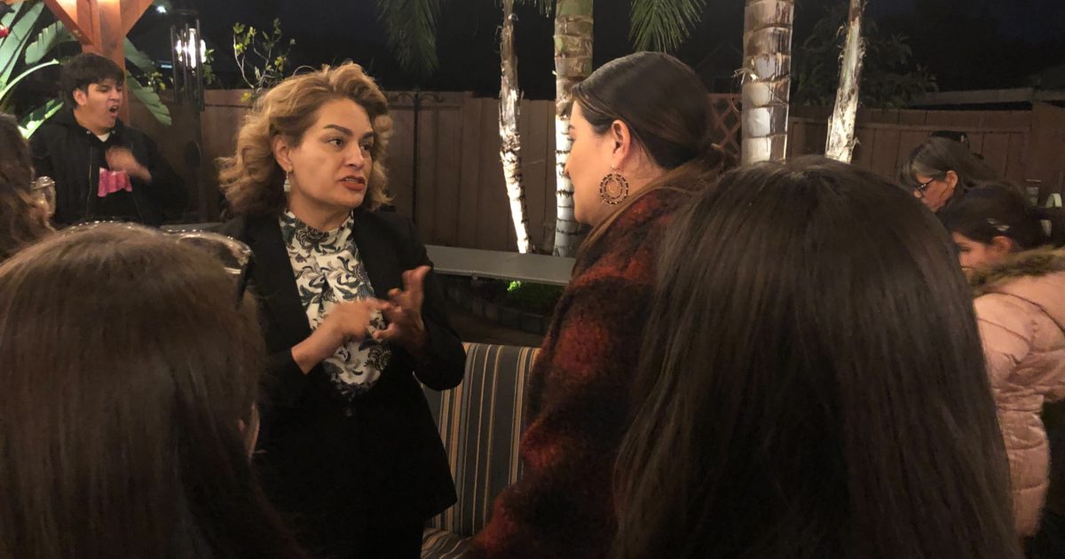 Sylvia Arenas wins race for Santa Clara County supervisor - San José ...