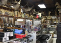 The inside of a gun store, with animal heads and guns along the walls