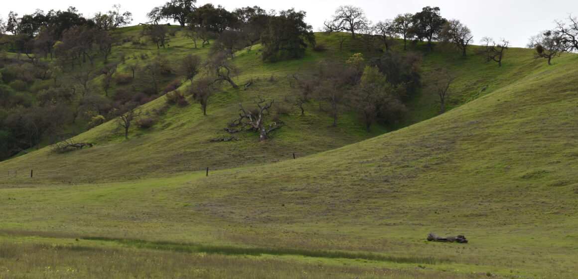Fact Brief: Did groundwater pumping in the 20th century cause land to sink in Santa Clara County?