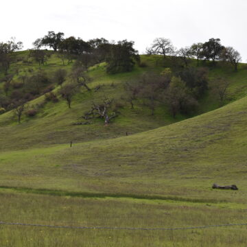 Fact Brief: Did groundwater pumping in the 20th century cause land to sink in Santa Clara County?