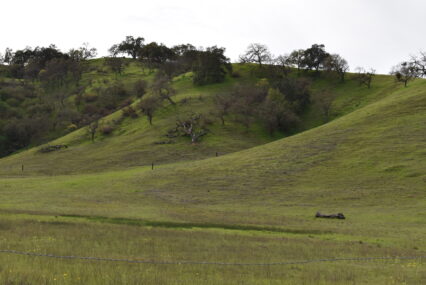 Fact Brief: Did groundwater pumping in the 20th century cause land to sink in Santa Clara County?