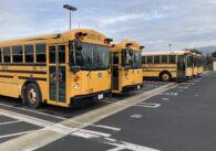 School buses in a parking lot