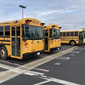 School buses in a parking lot