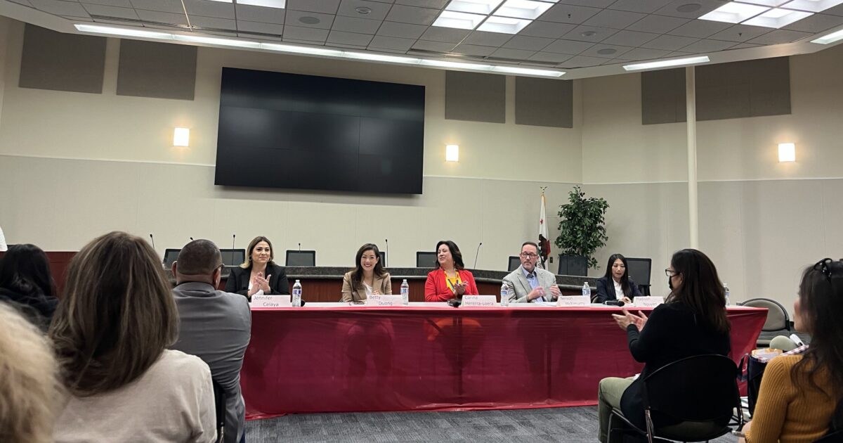 Santa Clara County District 2 candidates agree on key issues - San José