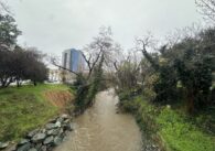 Guadalupe River in San Jose