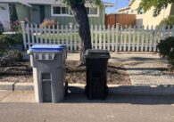 Garbage and recycling cans on the street waiting for pickup