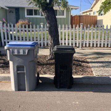 Garbage and recycling cans on the street waiting for pickup
