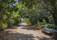 The San Tomas Aquino/Saratoga Creek Trail in Cupertino.
