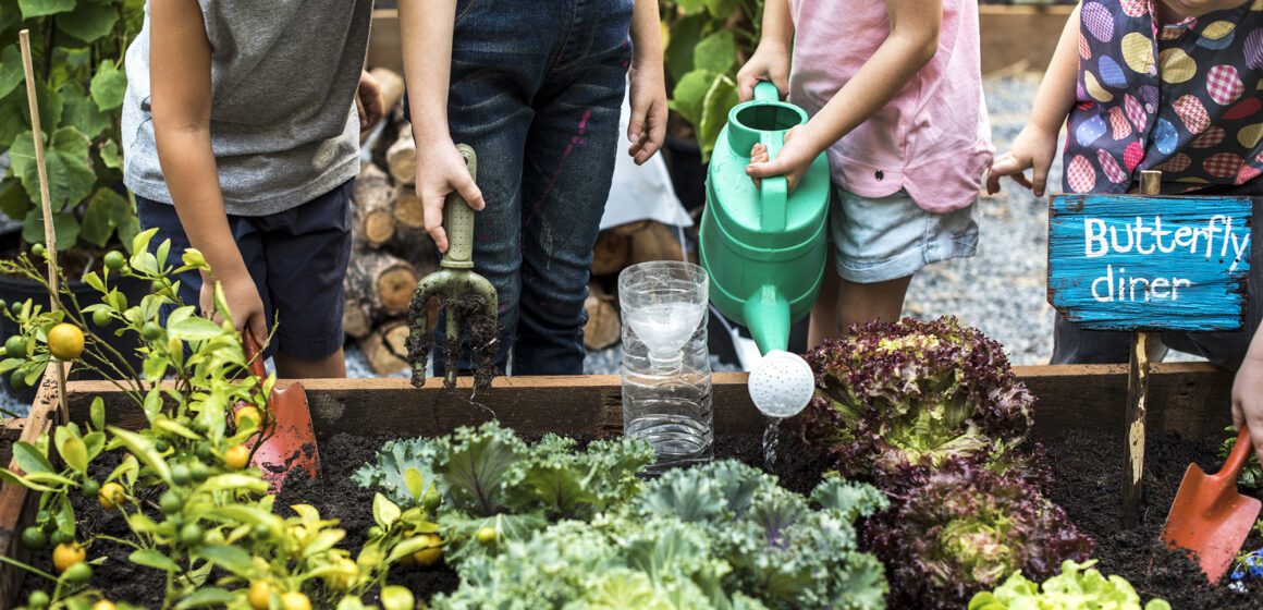 Children in a garden watering plants