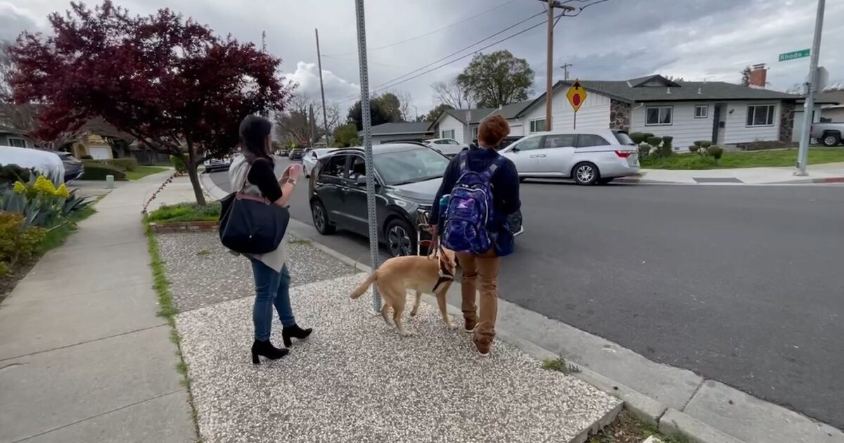 Uber and Lyft drivers frequently refuse service dogs Uber Drivers Forum