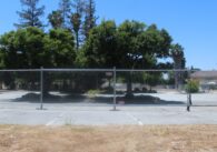 Trees in a parking lot fenced off for future development, with dry grass in the foreground
