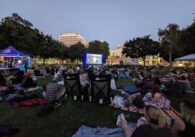 A crowd of people on a lawn watching an outdoor movie screening