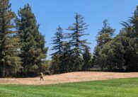 A grassy field in a park, with dead grass at the edges