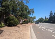 A dirt barrier between a street and highway fence in Cupertino