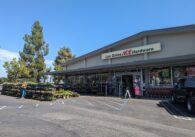 The outside of a single-story ACE Hardware in Los Gatos