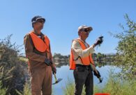 Two men in orange volunteer vests stand with weed-removing tools in front of Lake Cunningham
