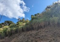 A hillside with a portion cleared of brush.