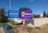 Two lawn election signs side by side in dead weeds that read, "Kitty Moore for Cupertino City Council" and "Ray Wang Cupertino City Council."
