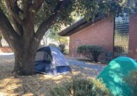Tents outside library