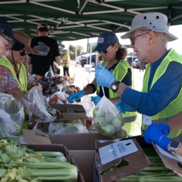 Food distribution People distributing food for donations