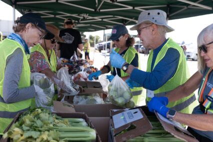 People distributing food for donations