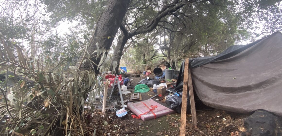 Homeless encampment San Jose Coyote Creek A makeshift tarp tent under a tree near a creek in San Jose, California