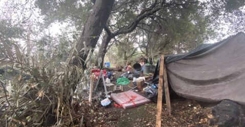 A makeshift tarp tent under a tree near a creek in San Jose, California