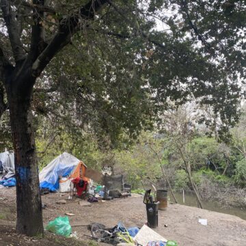 A homeless encampment along a creek in San Jose