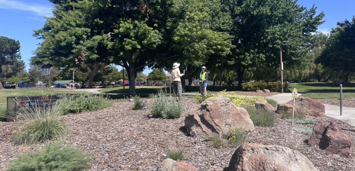 PARKS BUDGET Two people standing in a native garden at a park in San Jose, California