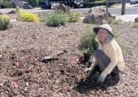 A woman working with plants at a public park in San Jose