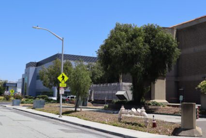 Multiple unmarked buildings along the same street