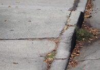 A fractured and cracked sidewalk in San Jose's Alum Rock neighborhood