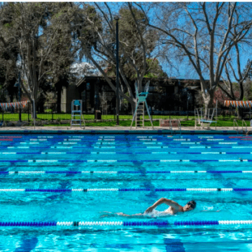 People swimming laps in a pool