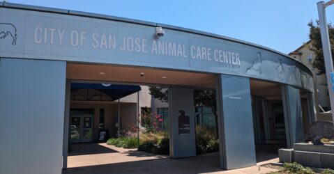 The outside of a building with a sign that reads "City of San Jose Animal Care Center"