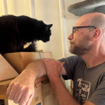 A man in a bookstore looking at a Persian cat