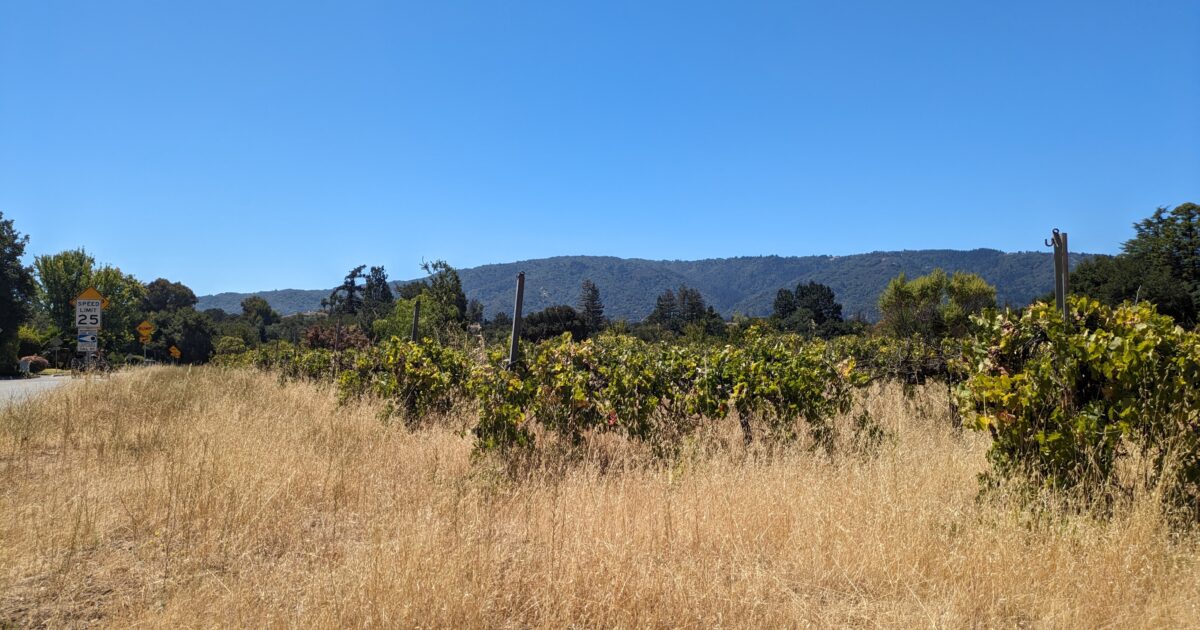 Saratoga housing development catches residents off guard - San Jose Spotlight