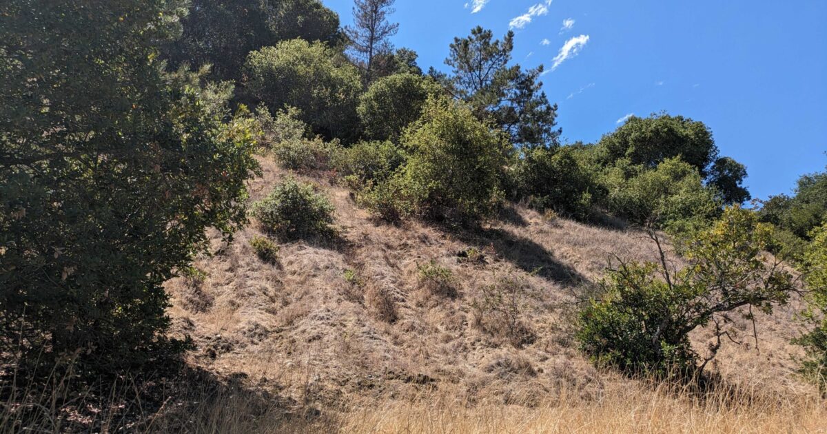 Cupertino spars with state over developments - San Jose Spotlight